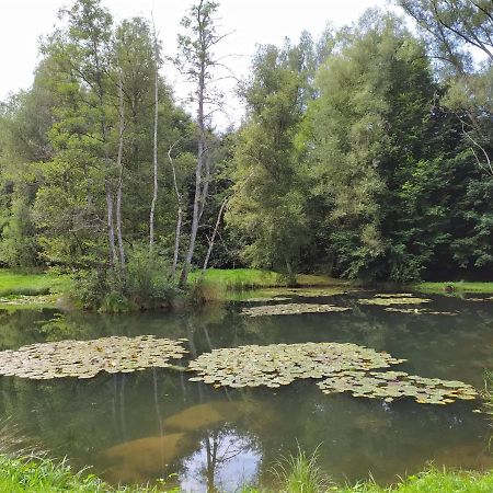 Gite De Charme Rosardenne Vaux-sur-Sure Exterior foto